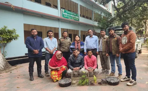 বন্য পাখি বিক্রির দায়ে চট্টগ্রামে দম্পতিসহ আটক ৩