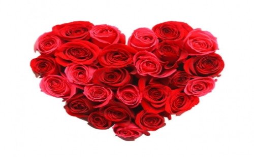 ১৪ই ফেব্রুয়ারী বিশ্ব ভালবাসা দিবস কে না বলুন!