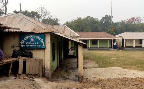 কুষ্টিয়া আইডিয়াল হাই স্কুলের প্রাই ২ লক্ষ টাকার গাছ কর্তন