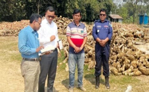 কাঠ পোড়ানোর অপরাধে ভাটা মালিকের লাখ টাকা জরিমানা