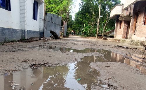 কুষ্টিয়া কুমারখালীর সড়কের বেহাল দশা, চরম ভোগান্তিতে এলাকাবাসী