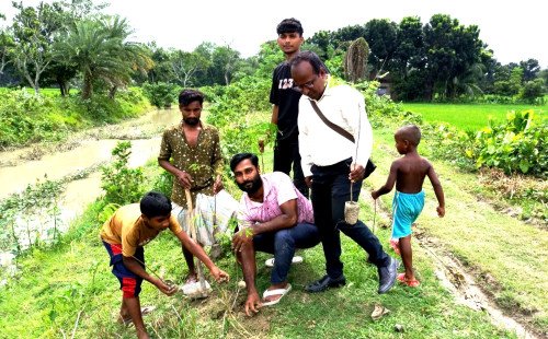কুষ্টিয়ার কুমারখালীতে সরকারি জায়গায় গাছের চারা রোপণের শুভ উদ্বোধন