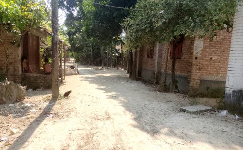 কুমারখালীতে বাগুলাট ইউনিয়নের সড়কের বেহাল দশা: চরম ভোগান্তিতে এলাকাবাসী