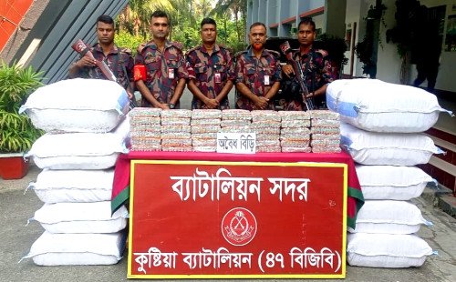 কুষ্টিয়ায় বিজিবির টাস্কফোর্স অভিযান, ৬৫ লাখ টাকার সার ও মাদকদ্রব্য জব্দ