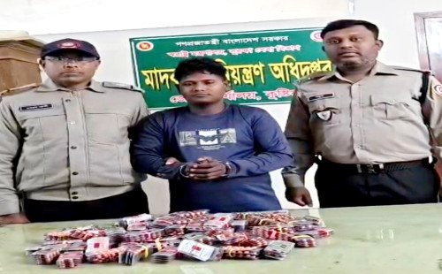 কুষ্টিয়ায় ডিএনসির পৃথক অভিযানে বিপুল পরিমাণ মাদক উদ্ধার