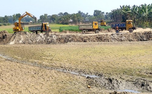 কুষ্টিয়ায় ধানি জমি কেটে পুকুর তৈরির অভিযোগ, মাঝিলা গ্রামে কৃষি জমি রক্ষায় উদ্বেগ