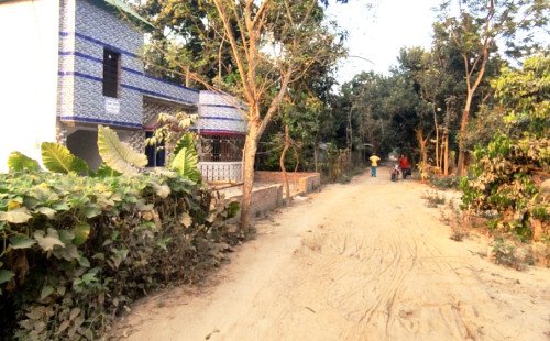 কুষ্টিয়া কুমারখালীর মাটির রাস্তার বেহাল দশা, চরম ভোগান্তিতে স্কুল কলেজে পড়ুয়া শিক্ষার্থী