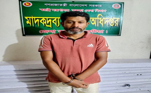কুষ্টিয়ায় মাদকবিরোধী অভিযানে গাঁজা উদ্ধার, গ্রেফতার ১