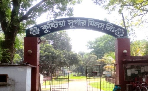 কুষ্টিয়া সুগার মিল চালু হলে ফিরবে সামাজিক ভারসাম্য, ঘুরবে অর্থনীতির চাকা