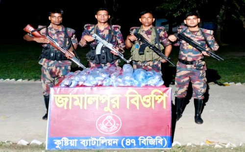কুষ্টিয়া সীমান্তে বিজিবির সফল অভিযান ভারতীয় মাদক ও অবৈধ কারেন্ট জাল উদ্ধার, আটক ১