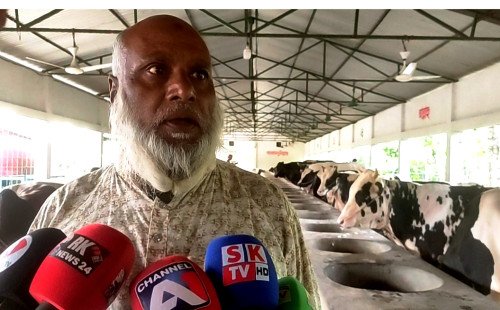 শিলাইদহের সবুজ প্রকৃতির বুকে আধুনিক গবাদিপশু খামারের সফলতার অনন্য দৃষ্টান্ত