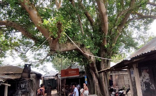 খোকসা উপজেলার ওসমানপুর আদর্শ গ্রাম: উন্নয়ন, ঐতিহ্য ও সম্ভাবনার এক উজ্জ্বল দৃষ্টান্ত