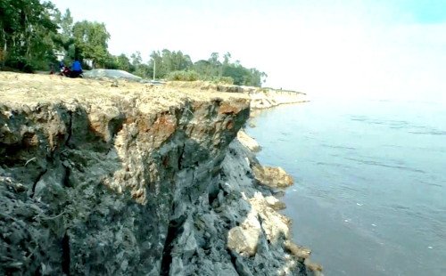 পদ্মার গ্রাসে কুষ্টিয়ায় শত শত বিঘা জমি