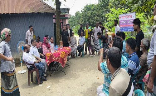 মসলা চাষে বদলে যাচ্ছে কুষ্টিয়ার বটতৈল, সম্ভাবনার নতুন দুয়ার ‘মসলা গ্রাম’-এ
