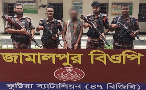 কুষ্টিয়া সীমান্তে বিজিবির পৃথক অভিযানে বিপুল মাদক ও চোরাচালানি মালামাল জব্দ