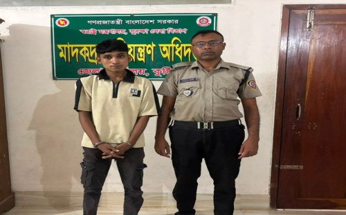 কুষ্টিয়ায় মাদকবিরোধী অভিযানে গাঁজা-ট্যাপেন্টাডলসহ ৩ কারবারি আটক
