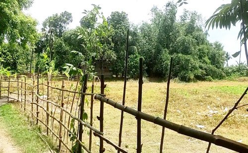 কুষ্টিয়ার পাটিকাবাড়িতে জমিবিরোধে পাল্টাপাল্টি অভিযোগ, নিরপেক্ষ তদন্তের দাবি
