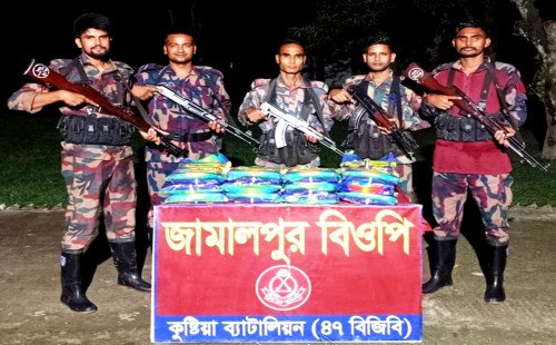কুষ্টিয়ার সীমান্তে রাতভর বিজিবির হানা, প্রায় ১৪ লাখ টাকার মাদক-চোরাচালানি পণ্য উদ্ধার
