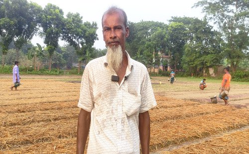 কুষ্টিয়ায় তামাকের বীজতলা তৈরিতে ব্যস্ত কৃষকেরা